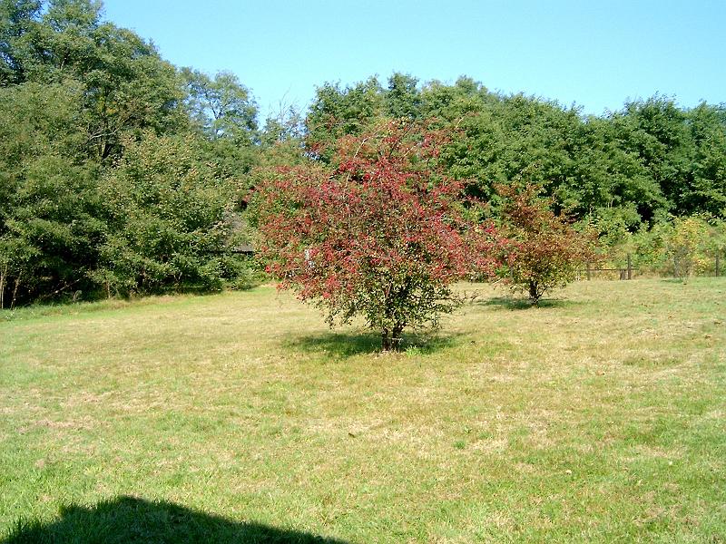 2010.10.09. 062.jpg